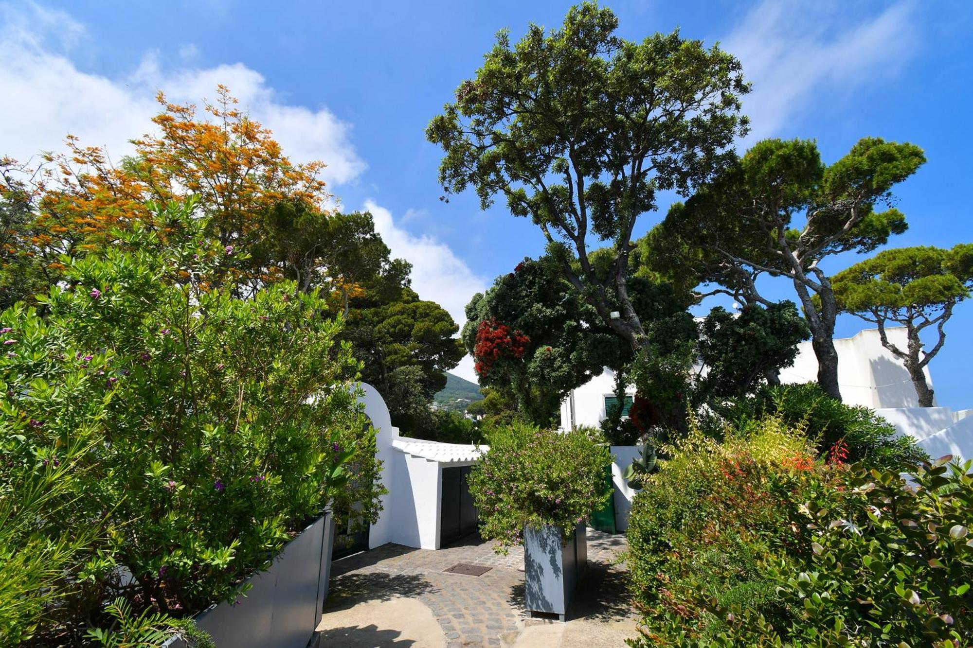 B&B Villa Lentisco イスキア島 エクステリア 写真